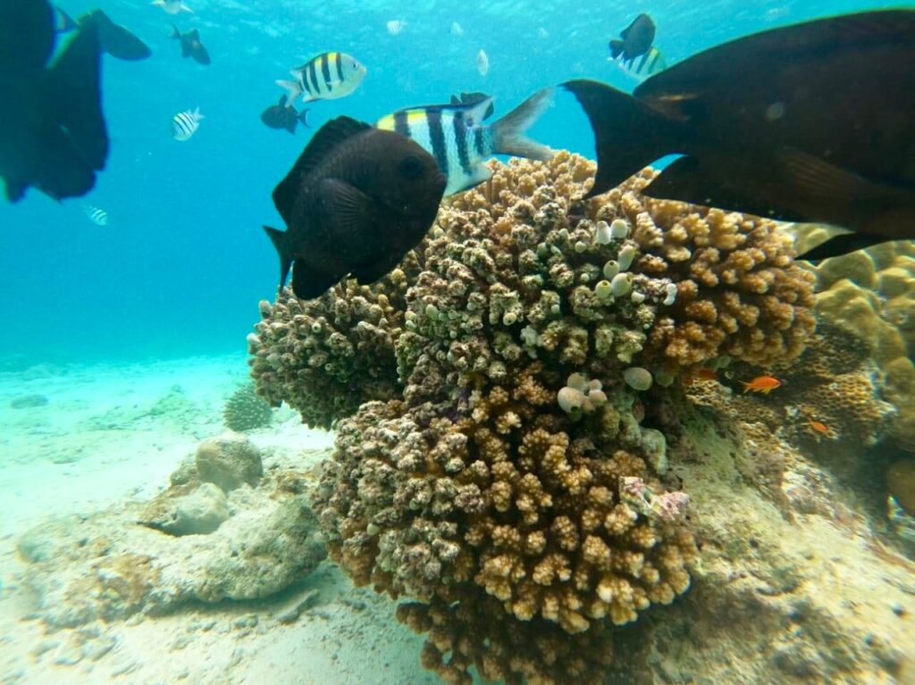 waarom Indonesië jouw vakantiebestemming moet zijn