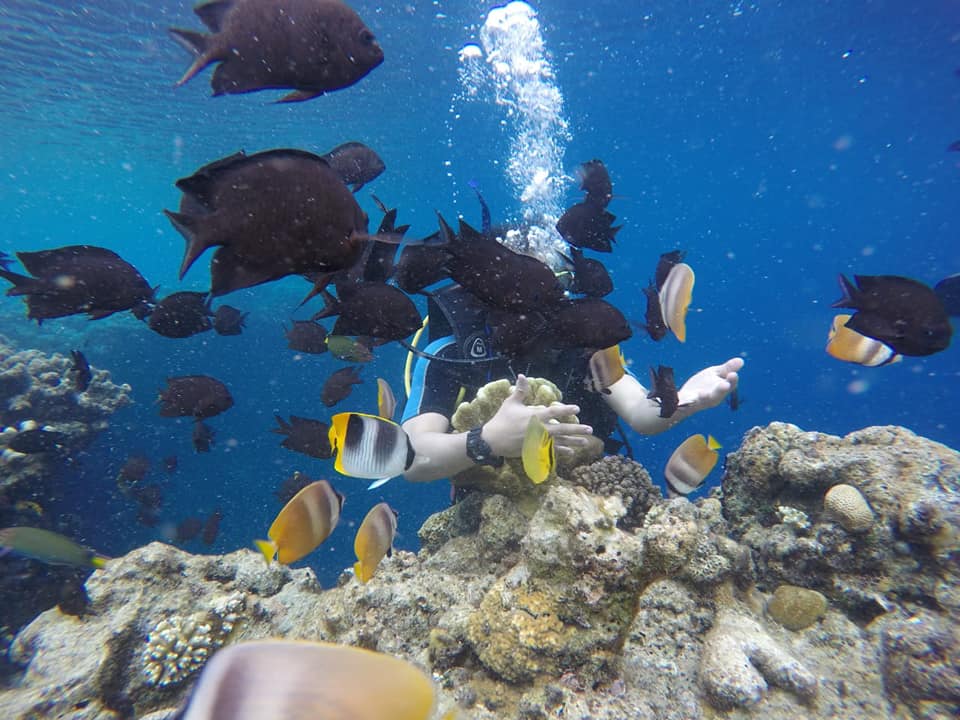 Hoogtepunten van Sulawesi | duiken of snorkelen in Bunaken